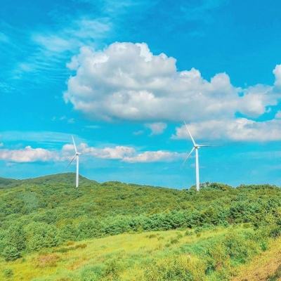 商海行动破解版下载
